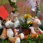 Fiori, lettere e peluche in via Dradi per ricordare la piccola Wendy