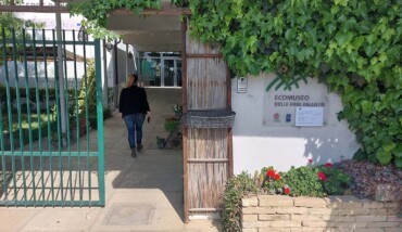 Ecomuseo Erbe Palustri