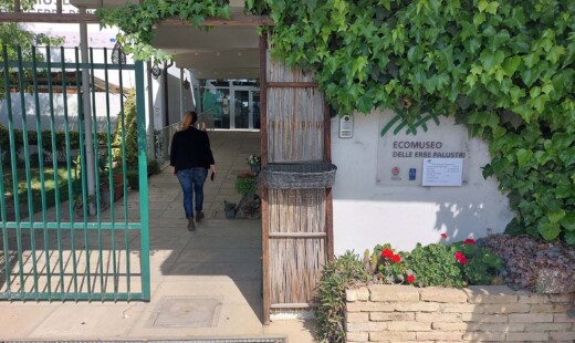 Ecomuseo Erbe Palustri