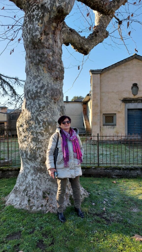 Mirella Dalfiume Platani Fusignano Tra Nuovi Alberi Monumentali Regione 2