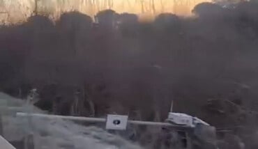 Fleximan Faenza Video