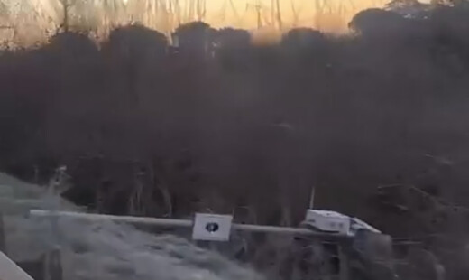 Fleximan Faenza Video