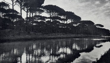 290) LA PINETA DI RAVA