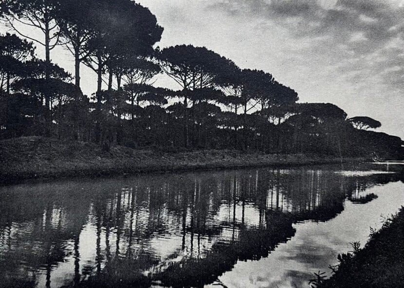 290) LA PINETA DI RAVA