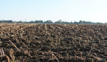 terreno agricolo