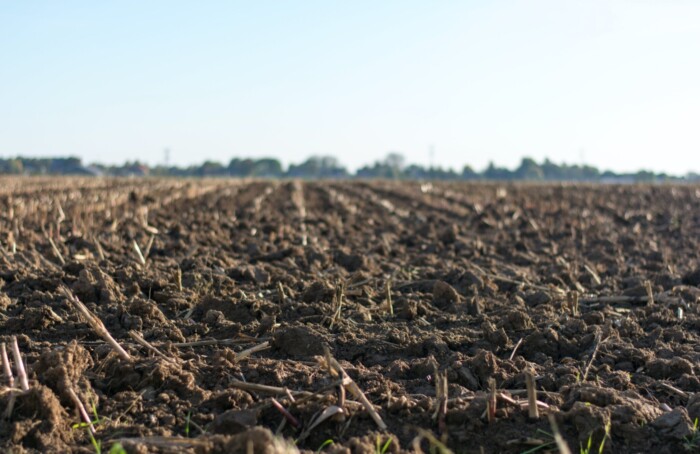 terreno agricolo