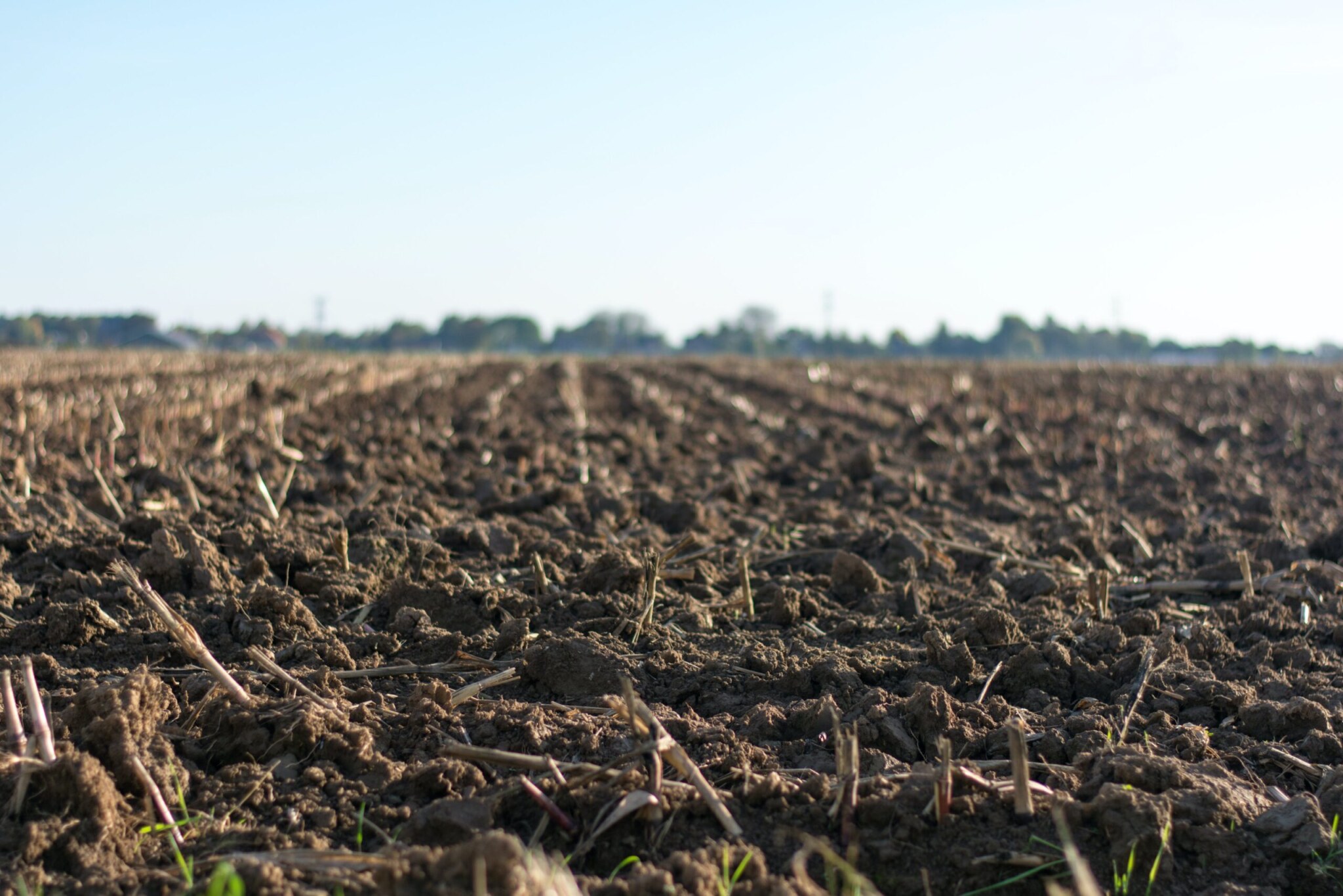 terreno agricolo