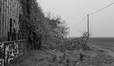 La natura vince