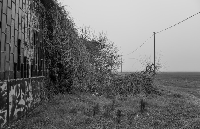 La natura vince