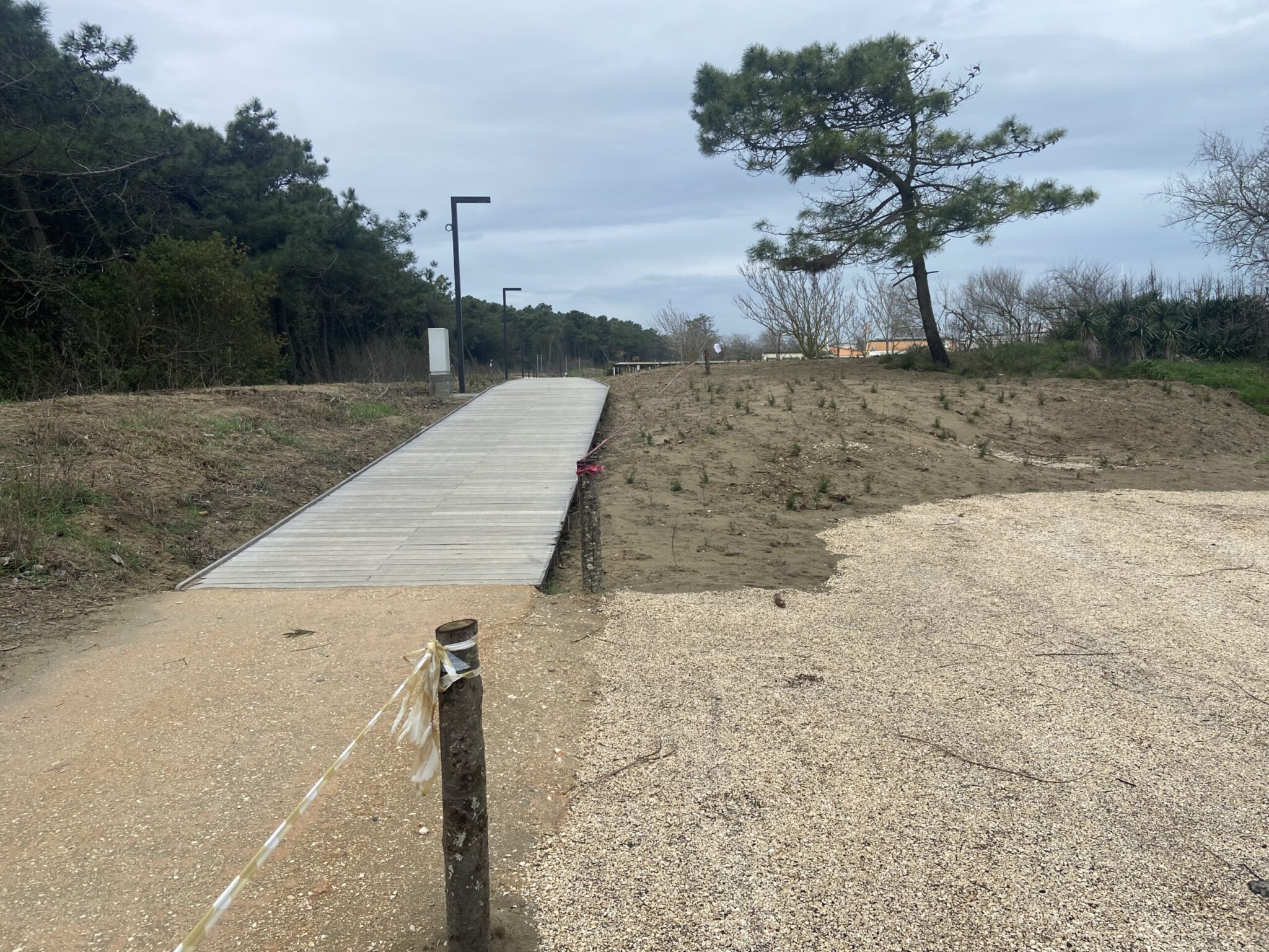 Parco Marittimo Marina di Ravenna febbraio 2024