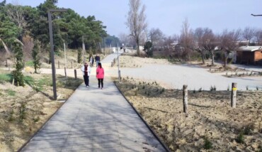 Parco Marittimo