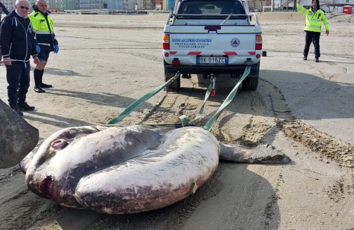 Pesce Luna Cesenatico