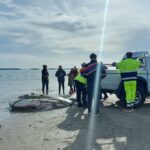 Pesce Luna Spiaggiato Cesenatico