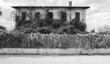La natura vince