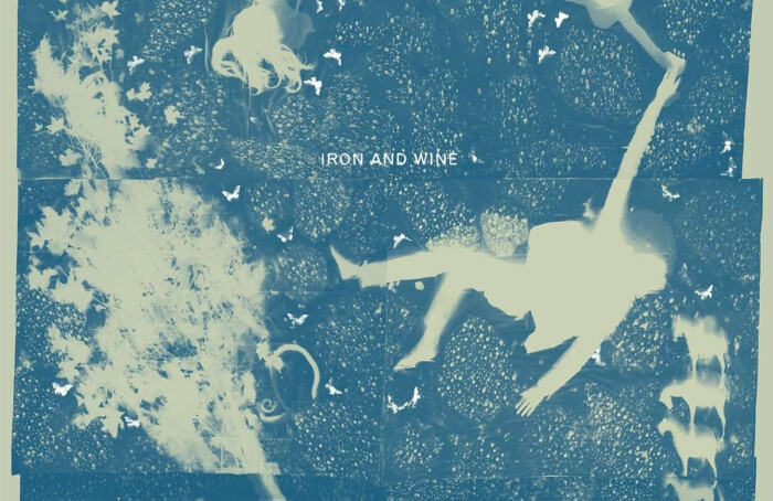 IronandWine 1713952789