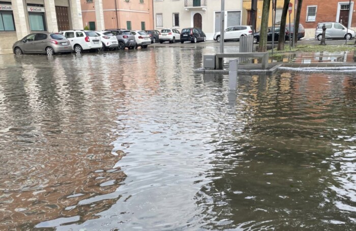 Cotignola Notizie