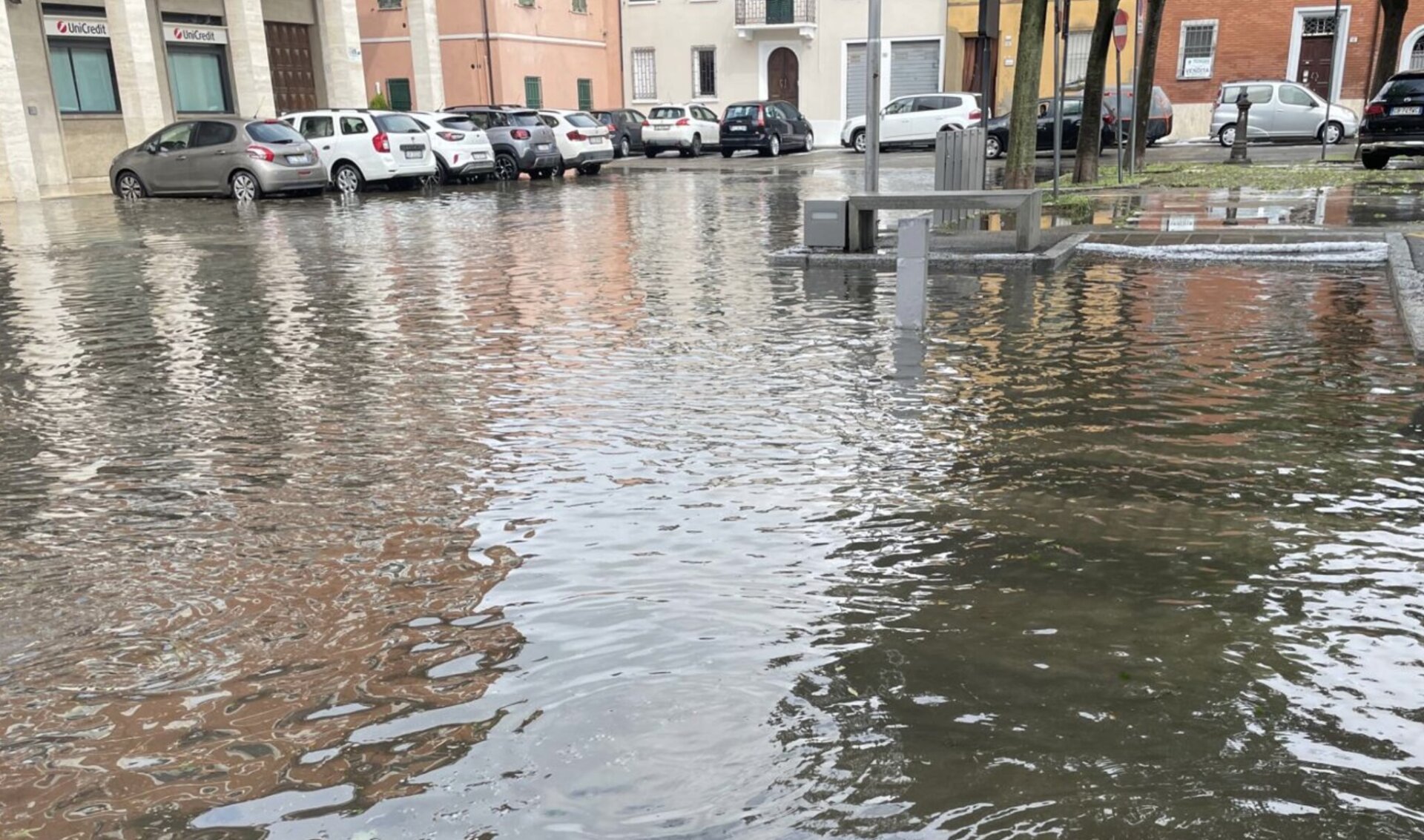Cotignola Notizie