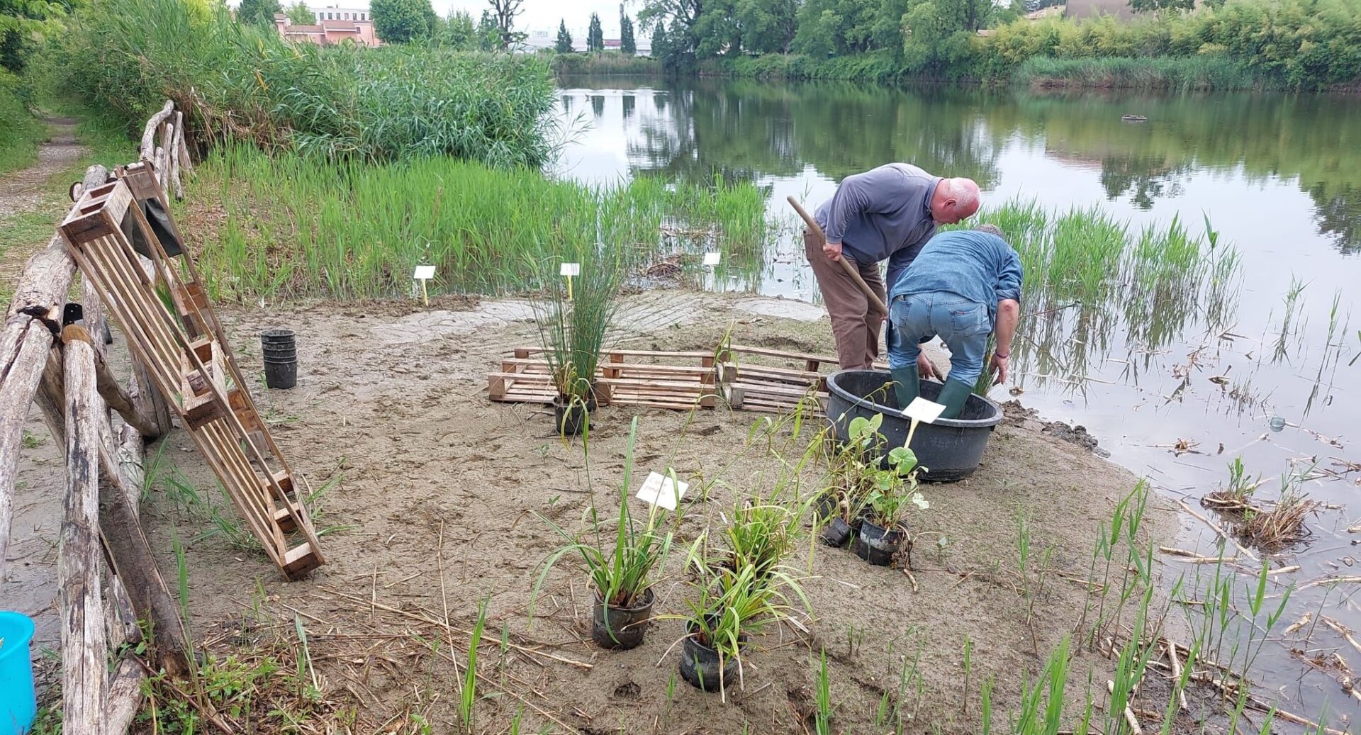 Lago Loto1 (1)