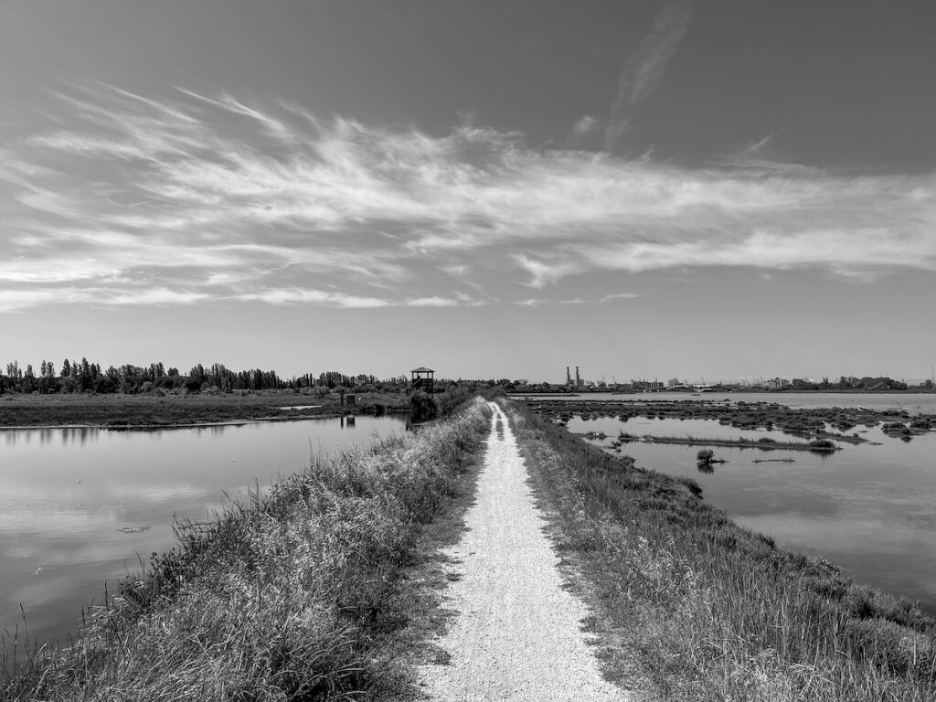Nel paesaggio