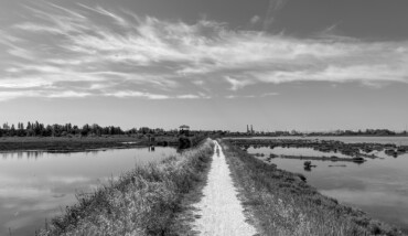 Nel Paesaggio