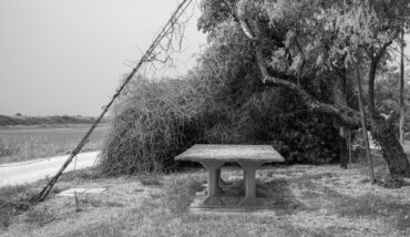 Tempi E Pause
