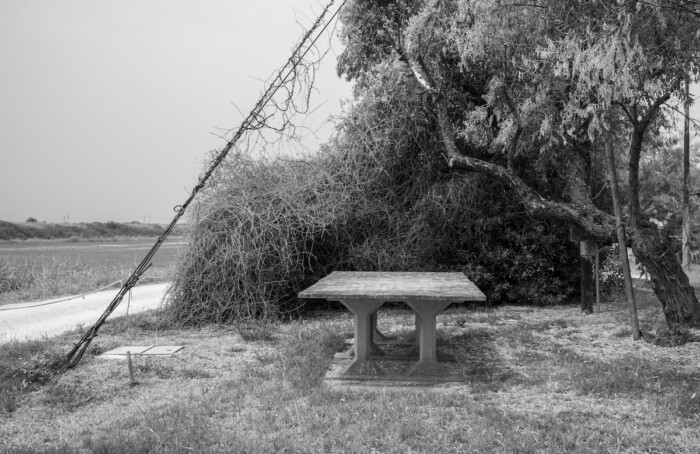 Tempi E Pause