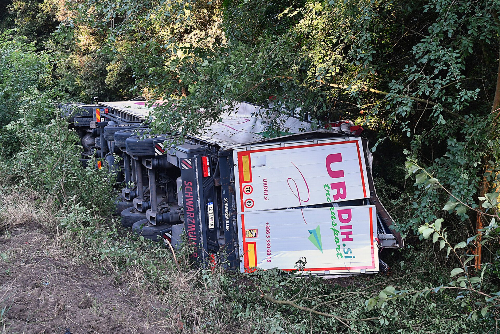 camion fuori strada romea 4 giugno 2024