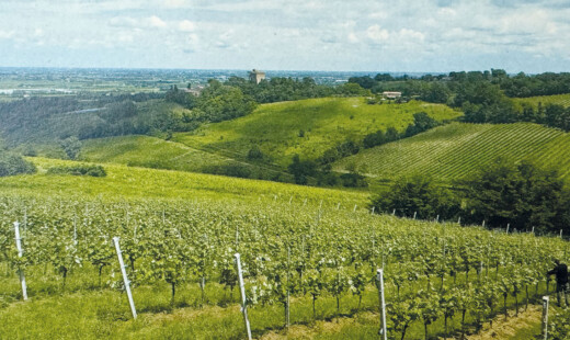 Biagio