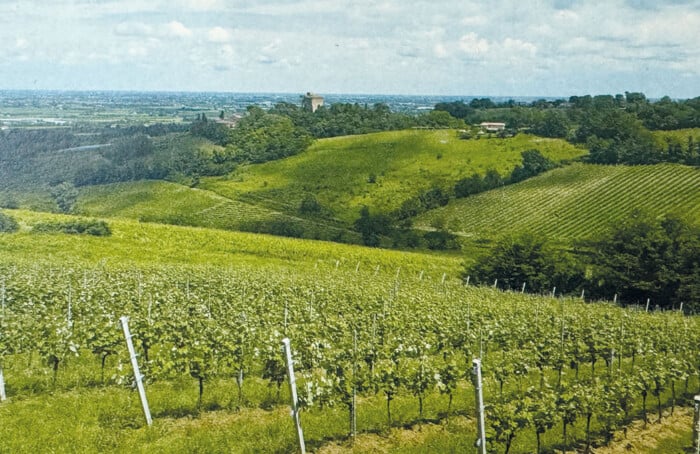 Biagio