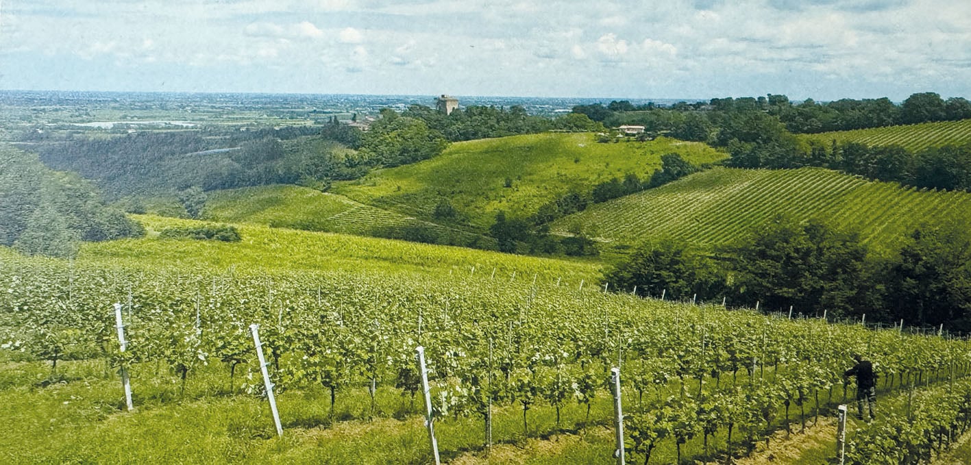 Biagio