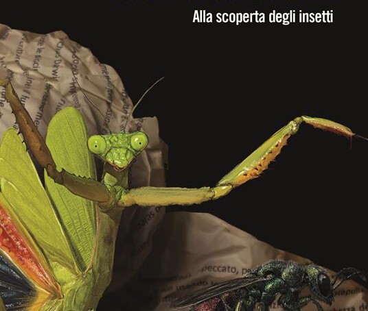 Cover Insetti