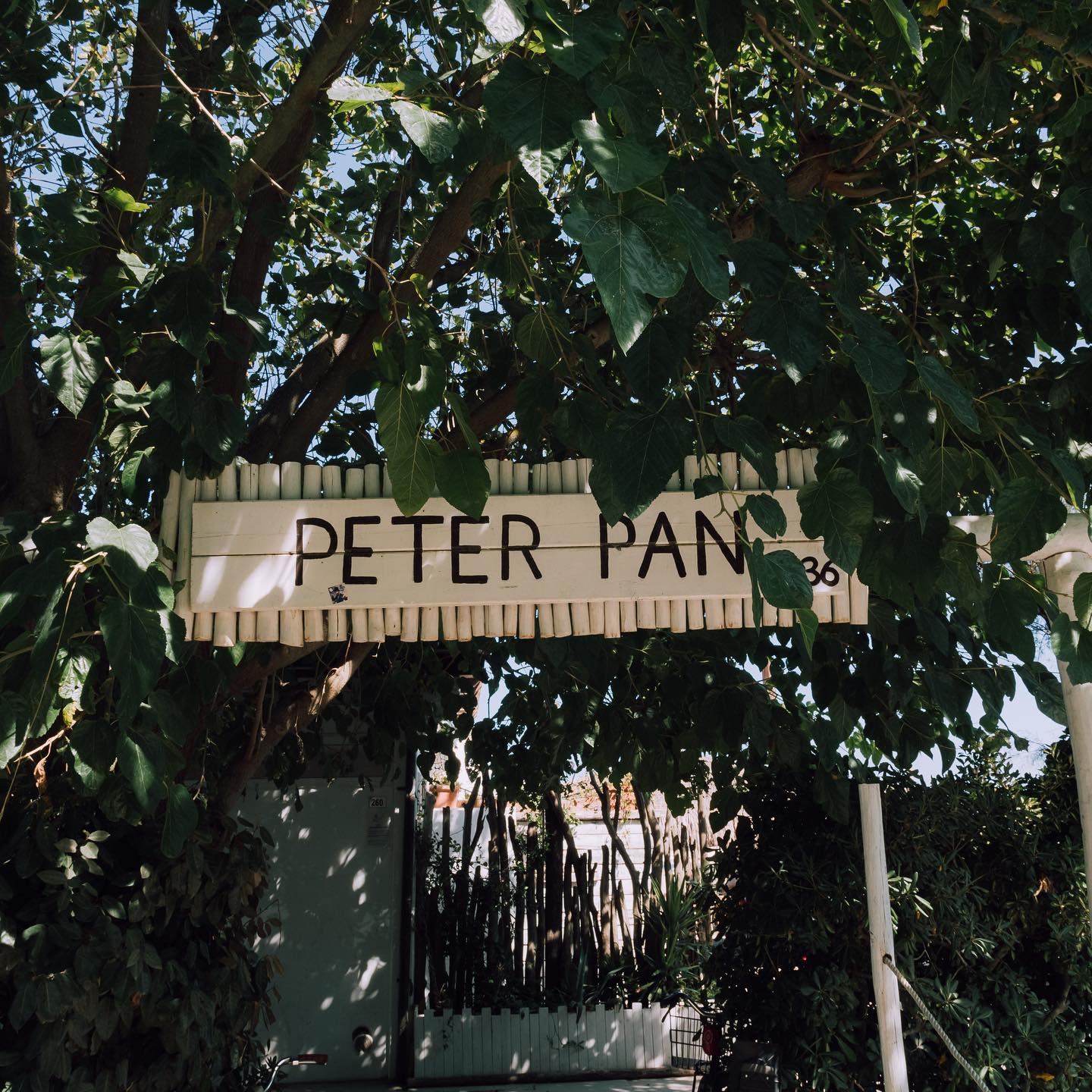 Petepan2