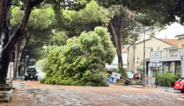Viale Dei Navigatori A Punta Marina
