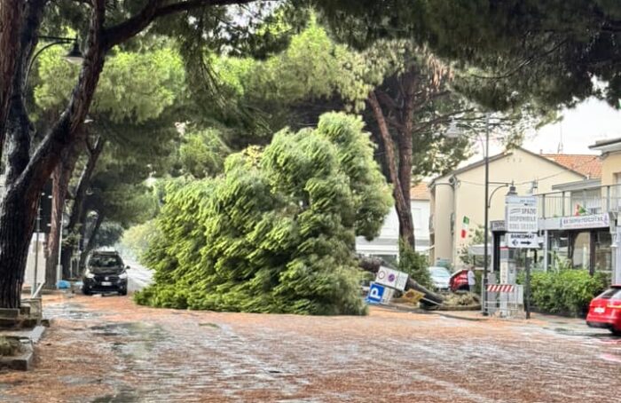 Viale Dei Navigatori A Punta Marina