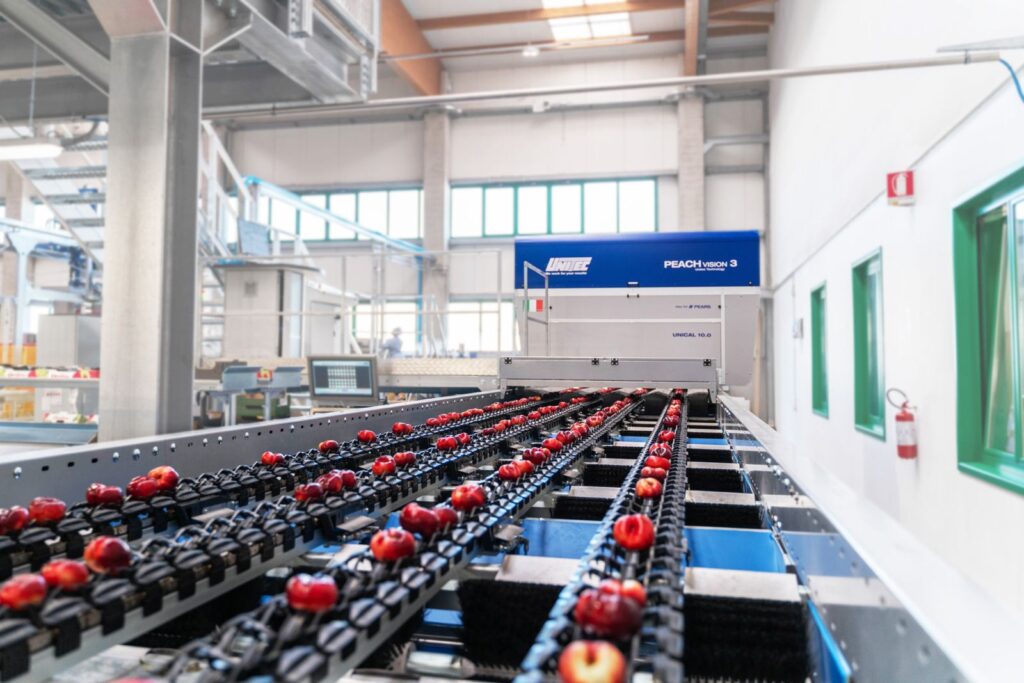 Agrintesa, Il Nuovo Stabilimento Di Bagnacavallo 1