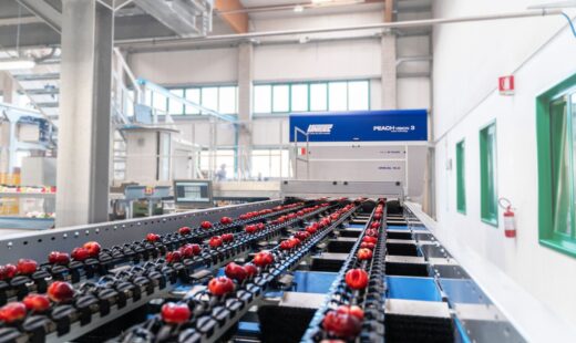 Agrintesa, Il Nuovo Stabilimento Di Bagnacavallo 1