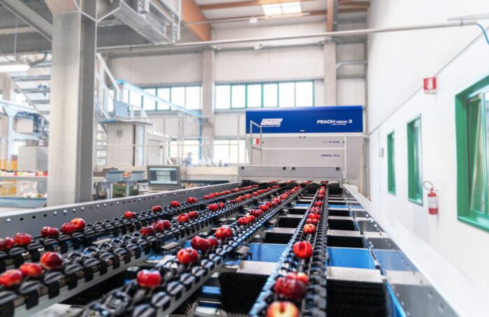 Agrintesa, Il Nuovo Stabilimento Di Bagnacavallo 1