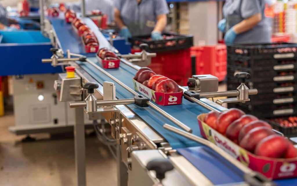 Agrintesa, Il Nuovo Stabilimento Di Bagnacavallo 3