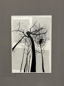 Rosetta Berardi