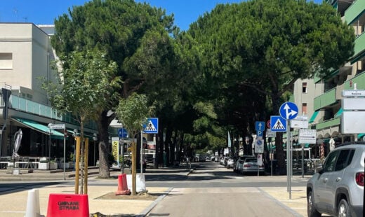Lido Savio Pini Da Abbattere E Nuovo Filare Singolo Ph MGuagliumi