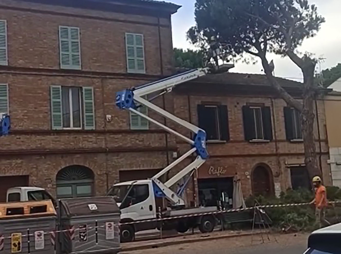 Abbattimento Pini Via Maggiore
