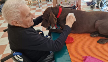Attivita Con Animali 8
