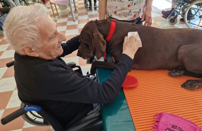 Attivita Con Animali 8
