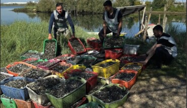 Vongole Sequestrate Finanza