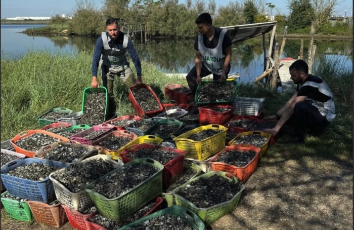 Vongole Sequestrate Finanza