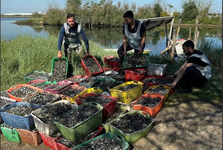 Vongole Sequestrate Finanza