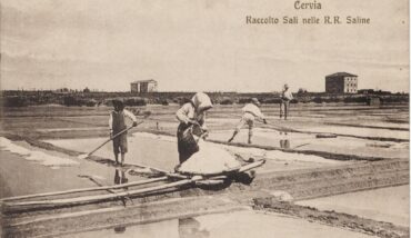 1. 1908.Cervia. Raccolta Sali Nelle R.R. Saline