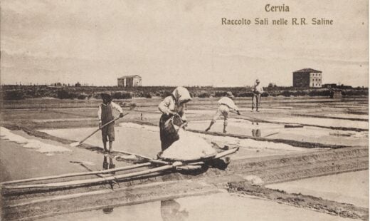1. 1908.Cervia. Raccolta Sali Nelle R.R. Saline