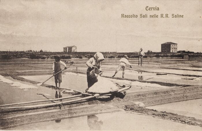 1. 1908.Cervia. Raccolta Sali Nelle R.R. Saline