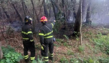 WhatsApp Image 2024 08 07 At 19.20.14